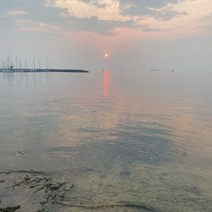 Meet your Posher, Sue